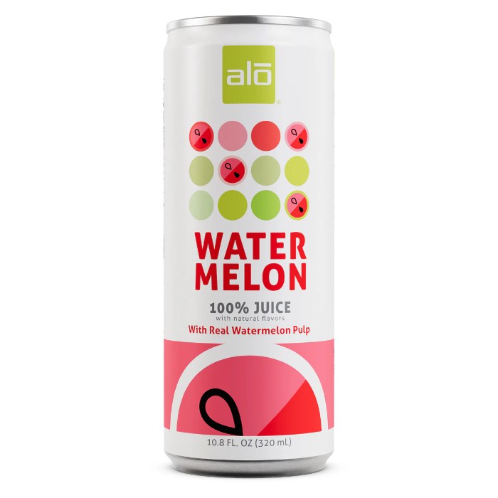 ALO - Watermelon Juice with Pulp, 320ml  Pack of 12