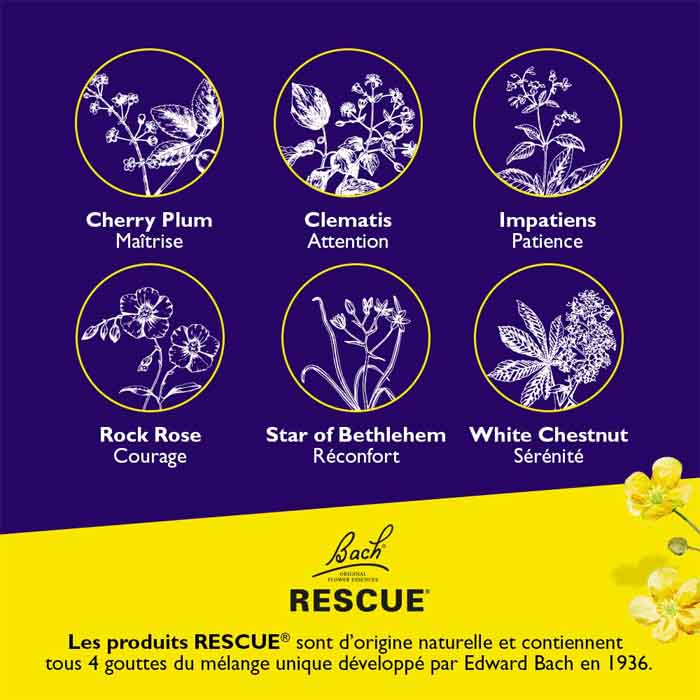 Bach - Bach Rescue Rem Night, 20ml- back