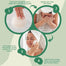 Composty - Konjac Facial Sponges, 4 Pieces - Back