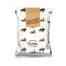 Dreamers - Popcorn Truffle Popcorn 45g, Pack of 12