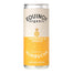 Equinox - Mango & Pineapple Organic Kombucha, 250ml - Pack of 12