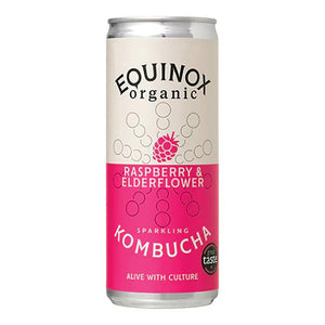 Equinox - Organic Kombucha, 250ml - Pack of 12 | Multiple Flavours