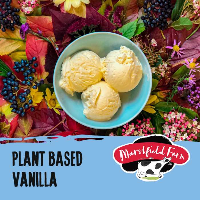 Marshfield - Plant Based Vanilla Ice Cream, 2.4L (Pack of 2)