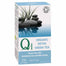 Qi Organic - Detox Green Tea Bags, 25 Bags