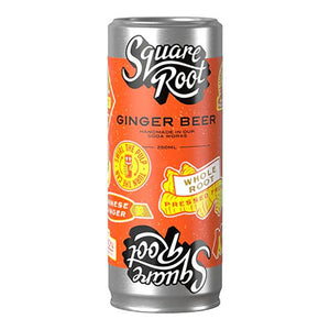 Square Root - Ginger Beer - Case of 24 | Multiple Formats